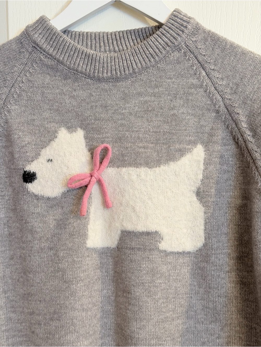 Sweater with Dog Deaign